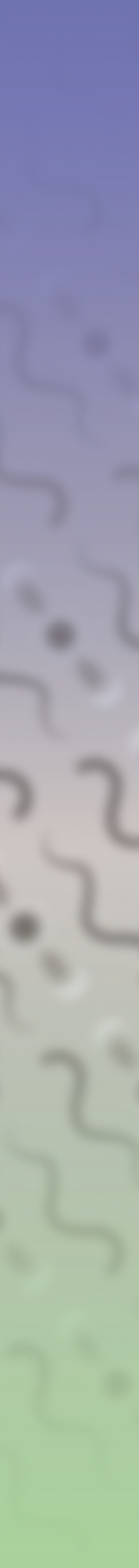 A decorative pattern of snakes, stars, and triangles